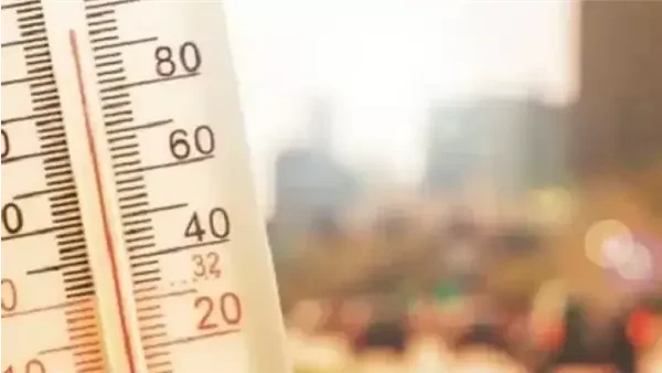 انكسار درجات الحرارة.. مفاجآت حول الطقس خلال الساعات المقبلةكشف الدكتور محمد فهيم رئيس مركز معلومات تغير المناخ مفاجأة حول حالة الطقس الساعات القادمة ، حيث تودع الحرارة نقحة الشمس 