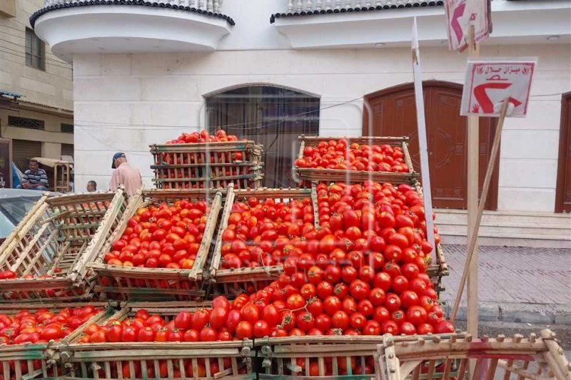 ارتفاع نسبي.. تعرف على قائمة أسعار الخضروات و الفاكهة بأسواق دمياط شهدت محافظة دمياط ارتفاعا ملحوظا في أسعار الخضروات والفاكهة داخل اسواق المحافظة، وفي التقرير التالي يقدم أفاق عرب