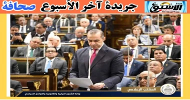 متابعة سيد زعزوع المستشار محمود فوزي: مشروع قانون الإجراءات الجنائية الجديد ينظم الحبس الاحتياطي بوضع حد أقصى له وتعويض المتضررين منه، شارك السيد