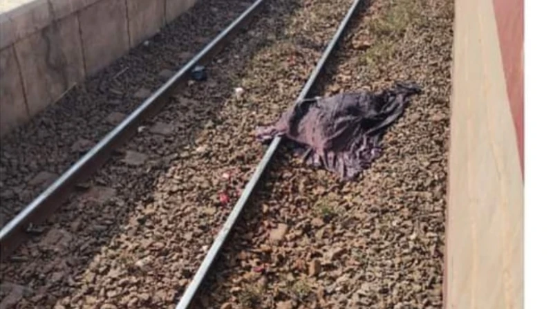 دماء على القضبان.. وفاة بائع خضار أسفل عجلات قطار المنوفية توفي بائع خضار اليوم في حادث مأساوي بمحطة شنوان التابعة لمركز شبين الكوم بمحافظة المنوفية، بعد أن دهسته عجلات القطار في أ