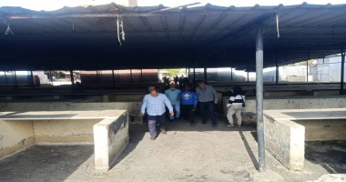 كتبت أمل عبد الرحيم قام اللواء طارق محمود اليمني السكرتير العام المساعد لمحافظة الإسماعيلية، اليوم الإثنين، بجولة تفقدية لأعمال تطوير سوق السلام