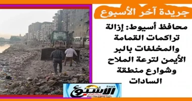 اسيوط سيد زعزوع محافظ أسيوط: إزالة تراكمات القمامة والمخلفات بالبر الأيمن لترعة الملاح وشوارع منطقة السادات أكد اللواء دكتور هشام أبو النصر محافظ أسيوط على تكثيف العمل بكافة القطاع