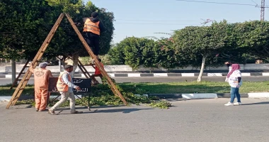 كتبت أمل عبد الرحيم يواصل جهاز التطوير والتجميل أعمال رفع كفاءة وصيانة المسطحات الخضراء بميادين الإسماعيلية، حيث تم صيانة الجزيرة الوسطى بالشارع