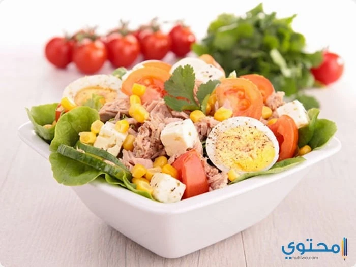 طريقة عمل سلطة التونة بالخضار تعد أطباق السلطة من الأطباق التي تحتوى على عناصر وقيم غذائية كثير لأنها تحتوى على مجموعة متنوعة من الخضار، حيث ينصح بتناولها باستمرار للاستفادة من جمي