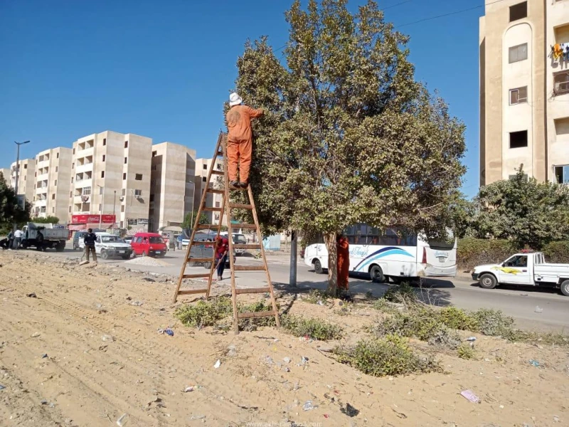 كتبت أمل عبد الرحيم تفعيلا لتوجيهات اللواء طيار أ.ح أكرم محمد جلال محافظ الإسماعيلية، بتنفيذ حملة مكبرة لرفع تراكمات القمامة والمخلفات بمدينة