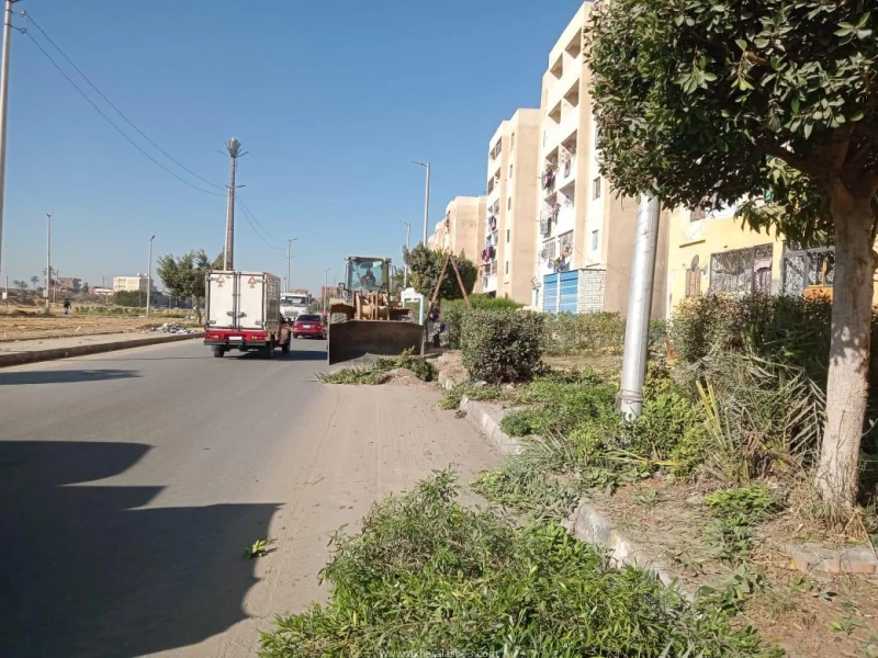 كتبت أمل عبد الرحيم تنفيذا لتوجيهات اللواء طيار أ.ح أكرم محمد جلال محافظ الإسماعيلية، بتنفيذ حملة مكبرة لرفع تراكمات القمامة والمخلفات بمدينة