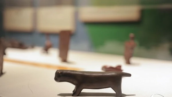 رئيس التنظيم والإدارة يشارك في اجتماعات ومؤتمر المنظمة الأفريقية للإدارة شارك الدكتور صالح الشيخ، نائب رئيس المنظمة الأفريقية للإدارة العامة ورئيس