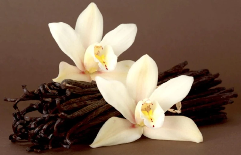 علاجات لآلام الأسنان الحساسة منزلية وطبيعيةيعاني الأشخاص ذوي الأسنان الحساسة من آلام شديدة ومزعجة تمنعهم من الاستمتاع بتناول الأطعمة والمشروبات