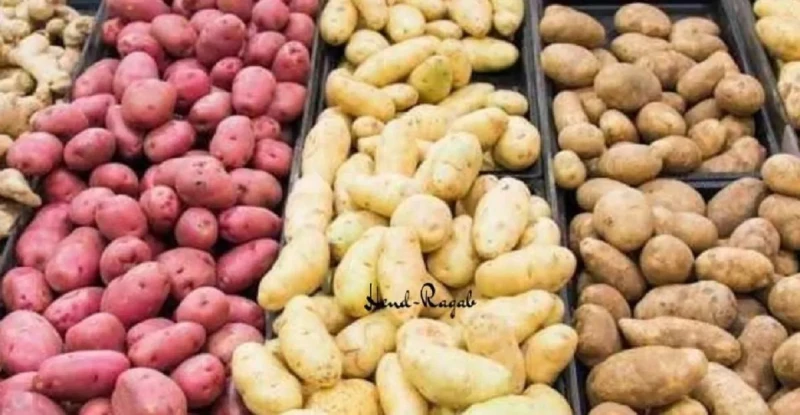 كيفية التفرقة بين البطاطس التحمير والطبخ عشان ماتحتاريش وأنت بتشتري التفرقة بين البطاطس التحمير والطبخ.. يفضل العديد من الأشخاص تناول البطاطس المقلية، ولكن عند طلبها، يكتشفون أنها 