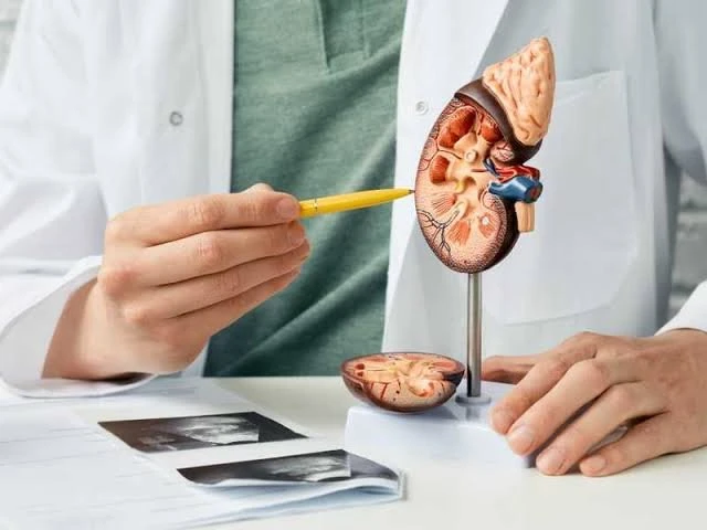 تعرف على أسباب وأعراض حصوات الكلى.حصوات الكلى واحدة من أبرز المشاكل الصحية التي يعانى منها الكثيرون وهى عبارة عن ترسبات صلبة مكونة من المعادن والأملاح التي تتشكل داخل الكلى، وحسب م