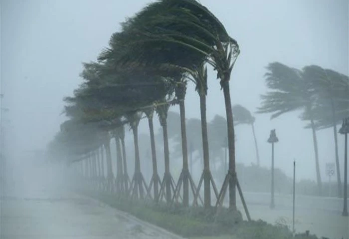 سقوط الأمطار على 11 منطقة اليوم والعظمى بالقاهرة 21 درجة كشفت هيئة الأرصاد الجوية، عن حالة الطقس المتوقعة، اليوم الخميس الموافق 19 ديسمبر الجاري، حيث