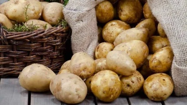 الحجر الزراعي يكشف حقيقة نقص تقاوي البطاطس الواردة كشف الحجر الزراعي اليوم الأربعاء، حقيقة نقص تقاوى البطاطس الواردة حيث أكد أن تقارير الحجر الزراعي