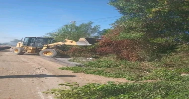 زراعة أشجار الزينة بمدينة الشمس استجابة لمطالب المواطنين ورفع 170 طن من القمامة والتراكمات بشوارع الاقصر الاقصر علاء النواصري أوضح أحمد أبو عيش رئيس مركز ومدينة الزينية أنه تم تنفي