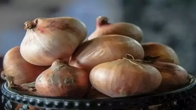 بوابة المحروسةينشرها : الأدمنانخفاض البصل.. أسعار الخضراوات والفاكهة في سوق العبور اليوم الثلاثاءانخفضت أسعار البصل الأحمر والأبيض، والكوسة، والخيار،