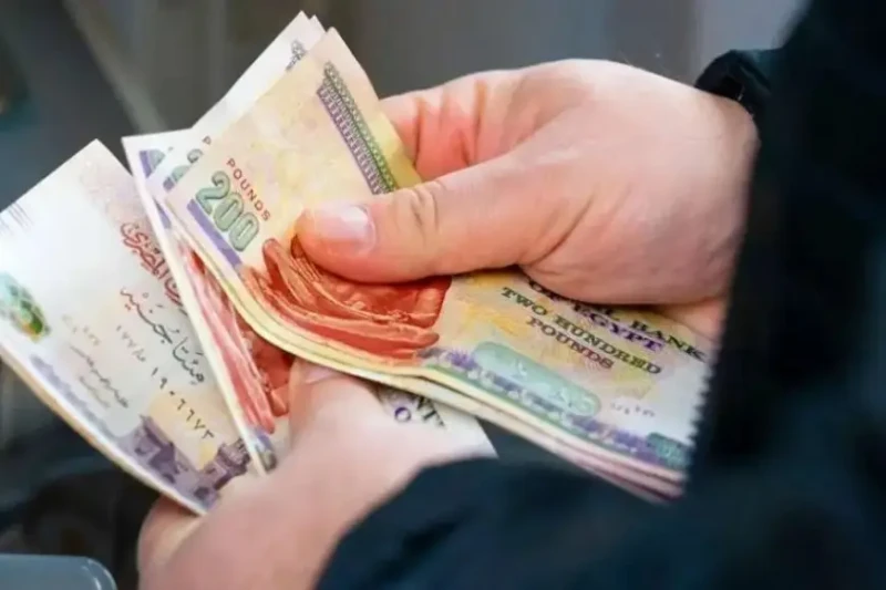 خلال أيام.. صرف مرتبات شهر ديسمبر لجميع العاملين بالدولةأعلنت وزارة المالية عن موعد بدء صرف مرتبات شهر ديسمبر 2024 لجميع العاملين بالجهات الحكومة