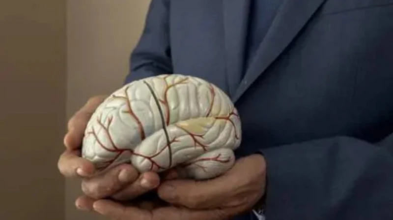 من الوعي إلى اللاوعي.. الدماغ البشري يعمل بسرعة خيالية نعتقد أننا نفكر في شيء واحد في كل مرة، ولكن عندما نتأمل يمكننا أن نفكر في أشياء متعددة في وقت واحد، فالمخ ليس مجرد آلة، وفقا 