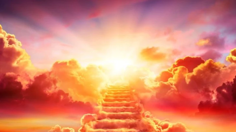 بنروح فين بعد ما نموت؟.. إجابة مجنونة من أذكى رجل في العالم يعتبر سؤال ماذا يحدث بعد الموت؟ من أكثر التساؤلات الوجودية التي حيرت العقل البشري على مر العصور. طرح كريس لانجان، الملقب