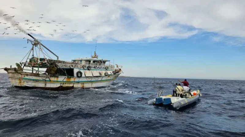 مراكب الصيد الجائر تهدد البيئة.. ما علاقتها بأسماك القرش؟ قبل ساعات قليلة من بداية عام جديد، لا تزال ممارسات الصيد الجائر للكائنات البحرية، وتدمير