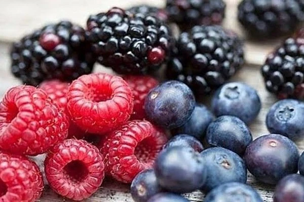 التوت البري: ثمار صغيرة تحمل فوائد كبيرة للصحة.يعتبر التوت البري من الفواكه اللذيذة والغنية بالعناصر الغذائية، ويحمل معه العديد من الفوائد الصحية. دعونا نستعرض بعض هذه الفوائد:1. م