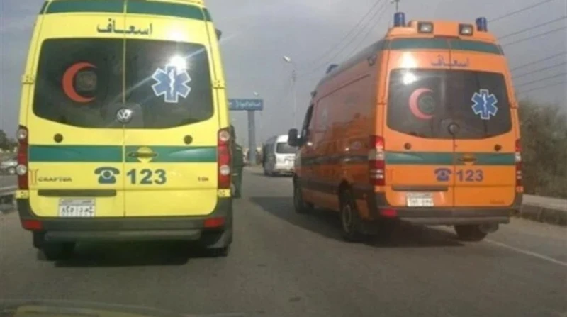 طلقة طائشة تودي بحياة شخص بقنا لقي شخص مصرعه بطلقات نارية طائشة، في مشاجرة بالأسلحة النارية بين عائلتين بقرية الكرنك التابعة لمركز أبوتشت، شمال