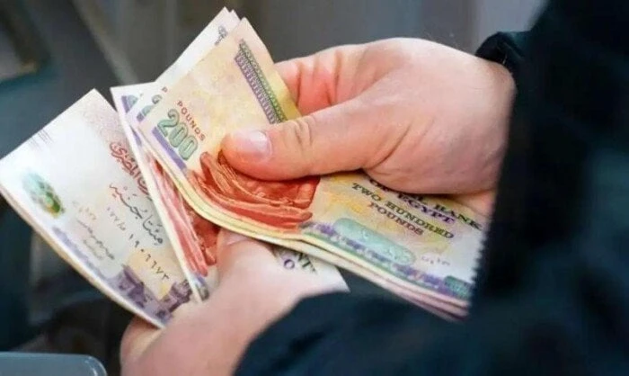 باقي 10 أيام.. موعد استحقاق مرتبات شهر ديسمبر 2024مرتبات شهر ديسمبر 2024.. تفصلنا أيام قليلة، ويبدأ صرف مرتبات شهر ديسمبر 2024 ل العاملين في القطاع