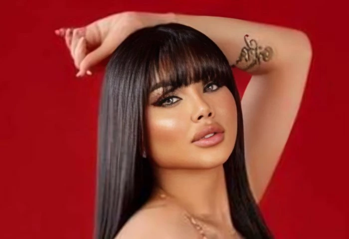 التفاصيل الكاملة لمحاكمة الراقصة ليلى بتهمة التحريض على الفجور القت الأجهزة الأمنية القبض علي الراقصة ليلى لنشرها مقاطع فيديو خادشه للحياء ومخالفة