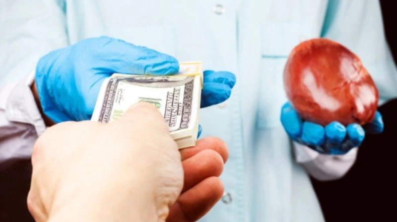 الإخوان نشرته.. الداخلية تكشف حقيقة فيديو الاتجار بأعضاء الأطفال نفى مصدر أمني بوزارة الداخلية، صحة ما تم تداوله على إحدى الصفحات التابعة لجماعة