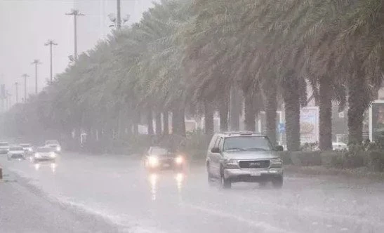 شديدة البرودة.. الأرصاد تحذر من حالة الطقس غدا السبت 21 ديسمبرحالة الطقس غدا.. كشفت الهيئة العامة ل الأرصاد الجوية عن حالة الطقس غدا السبت 21 ديسمبر