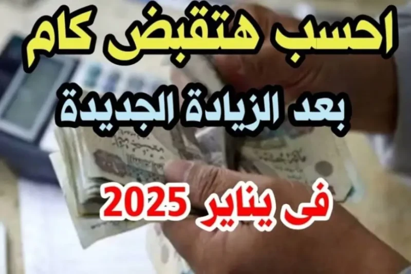 زيادة معاشات شهر يناير 2025 موعد الصرف وطريقة الاستعلام عن الزيادة الجديدة عبر موقع هيئة التأمينات الاجتماعية مع اقتراب موعد صرف المعاشات لشهر يناير