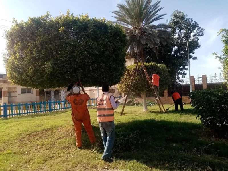 كتبت أمل عبد الرحيم تنفيذا لتوجيهات اللواء طيار أ.ح أكرم محمد جلال محافظ الإسماعيلية، بضرورة الاهتمام بالأندية والشواطئ بالمحافظة، ورفع كفاءة الخدمات