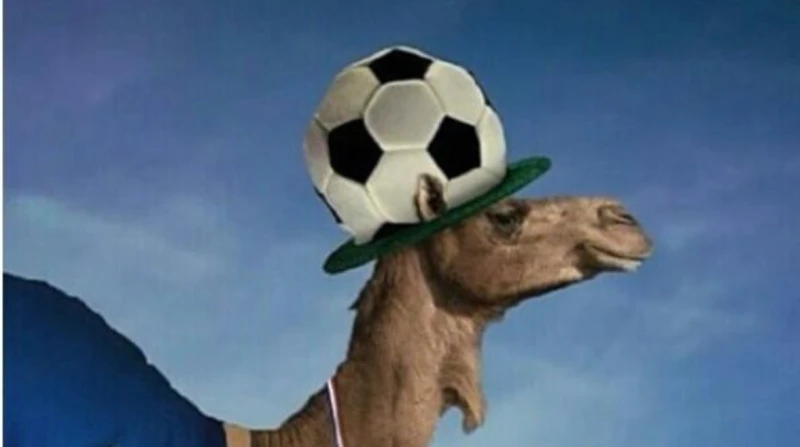 قصة هايدوو تميمة خليجي 26.. الجمال تغزو الملعب ثأرا من السخرية كلمة هايدوو يعرفها أي كويتي، فهي الكلمة التي ارتبطت بأغنية شهيرة حملت نفس الاسم في أوائل الثمانينات، حين حقق الأزرق إ