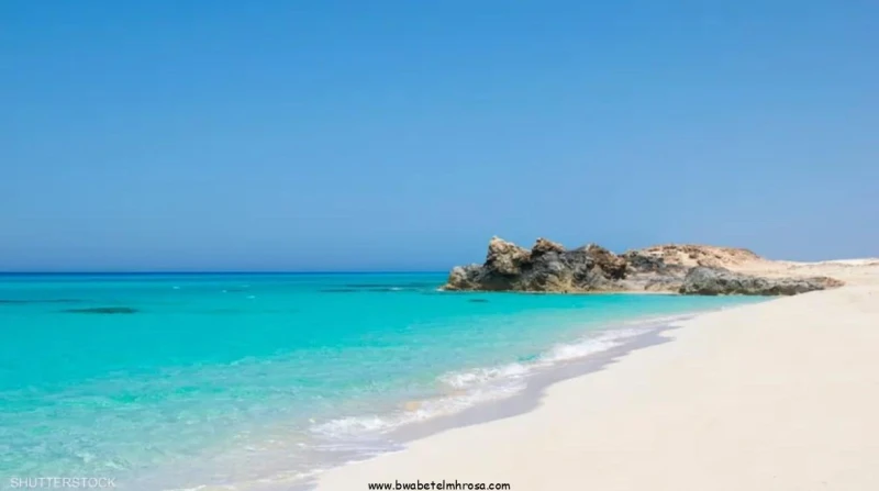 نشر أدمن بوابة المحروسة حظرت وزارة العدل، ممثلة في مصلحة الشهر العقاري والتوثيق، على مكاتب الشهر العقاري والسجل العيني ومأمورياتها ومكاتب وفروع التوثيق، اتخاذ أي إجراء يتضمن التصرف