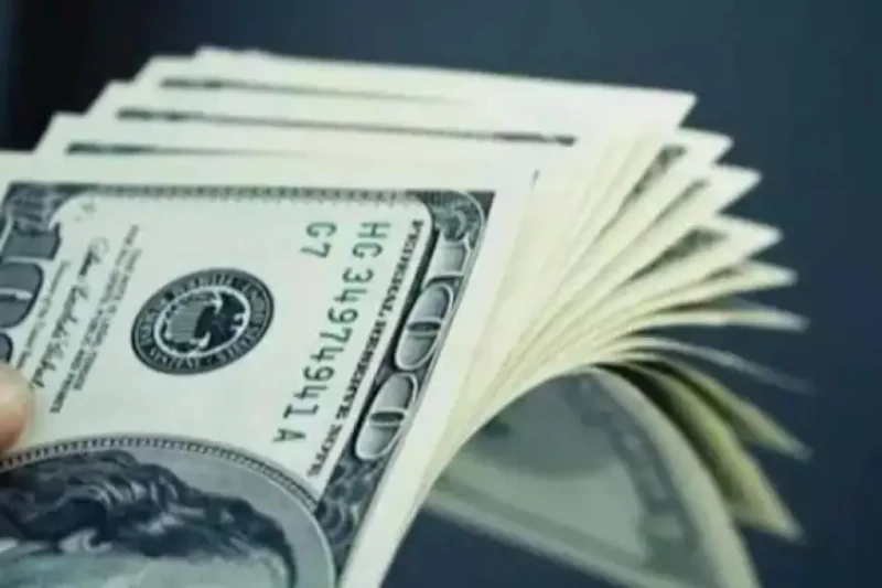 ارتفاع سعر الدولار في 10 بنوك خلال أسبوعنشر فريق تحرير الموقع ارتفع سعر الدولار خلال أسبوع بين 4 و 7 قروش في 10 بنوك، مع نهاية آخر التعاملات الأسبوعية أمس الخميس، مقارنة بنهاية تعا