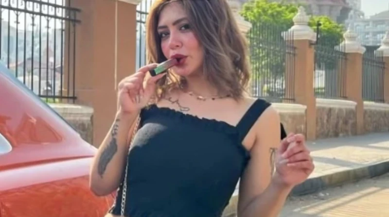 استكمال محاكمة البلوجر هدير عبدالرازق بتهمة نشر الفسق والفجور اليوم تستكمل المحكمة الاقتصادية المنعقدة بالقاهرة اليوم السبت، ثاني جلسات محاكمة البلوجر هدير عبدالرازق، بتهمة نشر الف