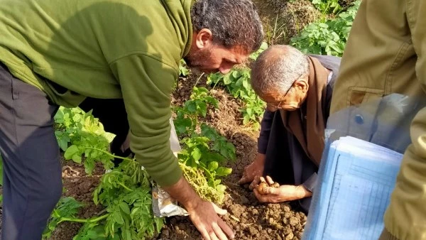 مهندسو المركزية للبساتين يتابعون زراعات البطاطس وتقديم الدعم الفني للمزارعين تفقدت لجنة من الإدارة المركزية للبساتين التابعة لقطاع الإرشاد الزراعي،