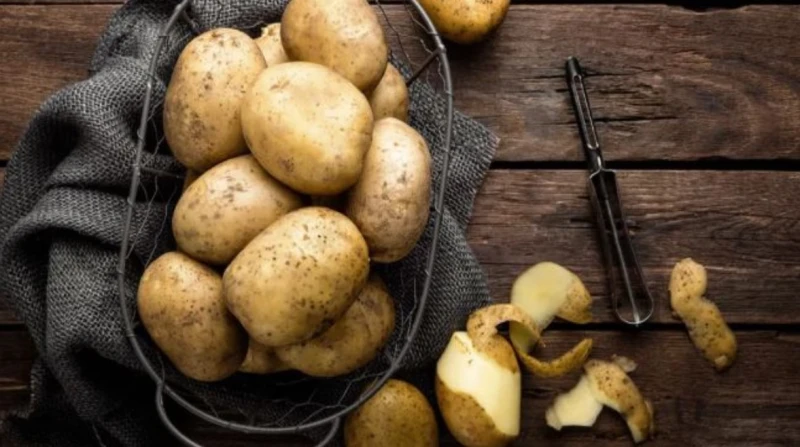 التلاجة فيها سم قاتل.. تبريد هذه الأطعمة قد يصيبك بالسرطان حذرت أخصائية التغذية السريرية جانفي سانجفي، من خطورة وضع بعض الأطعمة في الثلاجة، مشيرة إلى