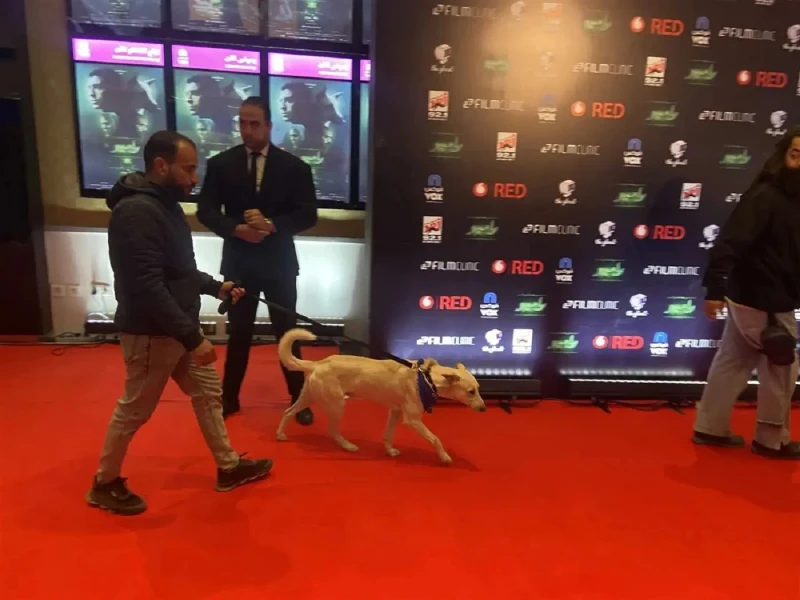 كلب يخطف الأضواء في العرض الخاص ل فيلم عربي من بطولته افاق عربية - أقيم العرض الخاص لفيلم البحث عن منفذ لخروج السيد رامبو في أحد المجمعات التجارية