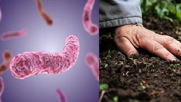 كنوز غذائة تساهم في الوقاية من أمراض قاتلة..اكتشفها الآن - أفاق عربية في عالمنا المعاصر، حيث الأمراض المزمنة مثل أمراض القلب، السرطان، السكري، وارتفاع ضغط الدم أصبحت شائعة بشكل مقل