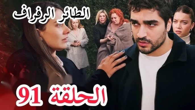 بجودة مسلسل الطائر الرفراف الحلقة 91 ......... لا تفوتهايبحث الكثيرين عن مسلسل الطائر الرفراف الحلقة 91 وذلك بعد أن تم عرض الحلقة خلال الساعات الماضية، يذكر أن الطائر الرفراف يعد م