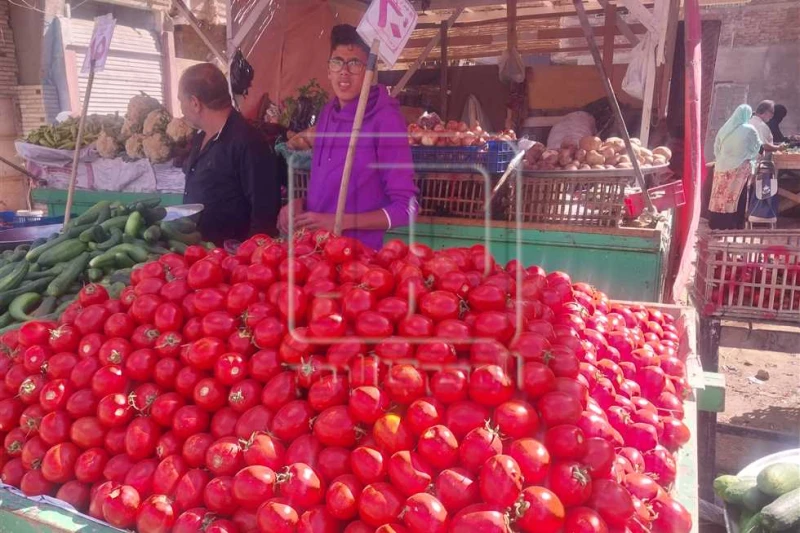 الفاصوليا ب30 جنيها.. أسعار الخضروات والفاكهة غدا 13 يناير 2025 بأسواق دمياط شهدت أسواق محافظة دمياط تحركا في أسعار بعض السلع، بينما استقرت أسعار عددا من أصناف الخضروات والفاكهة دا