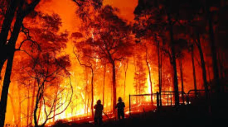 لوس أنجلوس في مواجهة مثلث النار.. لماذا يصعب السيطرة على الحرائق؟ شهدت مدينة لوس أنجلوس واحدة من أكثر الحرائق المدمرة في تاريخها، مما يثير التساؤل