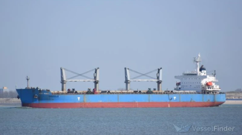 تداول 16 ألف طن و1183 شاحنة بضائع عامة بموانئ البحر الأحمر تشهد أرصفة هيئة موانئ البحر الأحمر، رواجا ملحوظا في حركة التداول، اليوم الإثنين، إذ بلغ إجمالي عدد السفن المتواجدة على أر