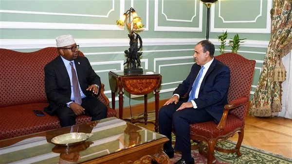مصر.. وزير الخارجية والهجرة يعقد مباحثات مع نظيره الصومالي استقبل الدكتور بدر عبد العاطي وزير الخارجية والهجرة في مصر، اليوم السبت ١١ يناير ٢٠٢٥ في القاهرة، أحمد معلم فقي وزير الشئ