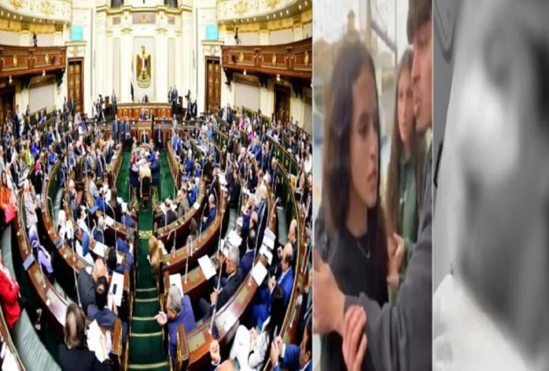 واقعة هزت الرأي العام عقب خناقة طالبات مدرسة التجمع الدولية أول تحرك برلماني تقدم النائب كريم السادات بطلب إحاطة إلى المستشار حنفي جبالي، رئيس مجلس