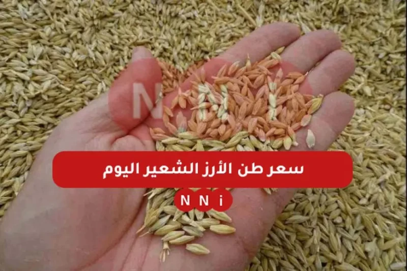 الرفيع والعريض.. سعر طن الأرز الشعير اليوم الجمعة 10 يناير 2025 للتجار وللمستهلك في مصر أعلنت شعبة الأرز عن استقرار سعر طن الأرز الشعير اليوم الجمعة 10 يناير 2025، بجميع أنواعه، وك