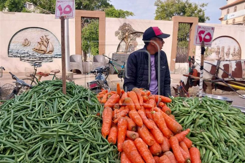 الليمون من 40-60 جنيها.. أسعار الخضروات والفاكهة غدا بأسواق دمياط 12 يناير 2025 شهدت أسواق محافظة دمياط تحركا في أسعار بعض السلع، بينما استقرت أسعار عددا من أصناف الخضروات والفاكهة