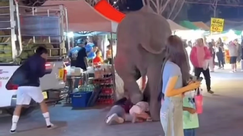 الألعاب النارية تثير جنون فيل 10 سنوات فيدهس 5 أشخاص بتايلاند شهدت تايلاند حادثا مروعا، حيث دهس فيل خمسة أشخاص بعد أن أخافته الألعاب النارية في مهرجان تايلاندي، وفقا ل صحيفة ديلي م