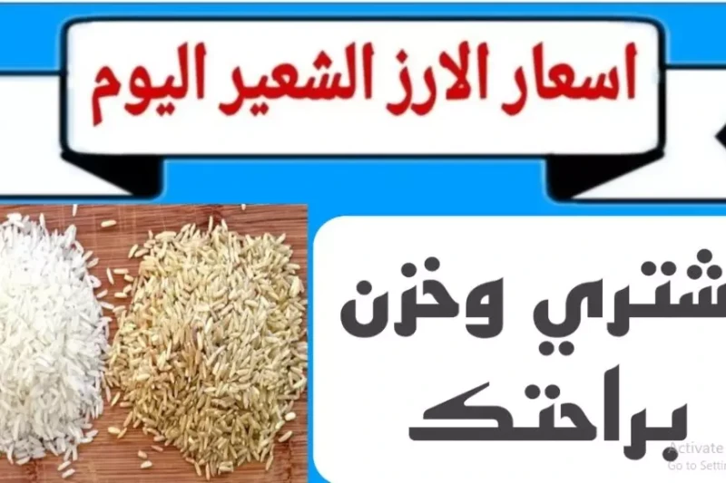 عريض ورفيع الحبه.. سعر طن الأرز الشعير اليوم السبت 11 يناير 2025 للمستهلك واسعار السلع الغذائية يشهد سعر طن الأرز الشعير اليوم استقرارا ملحوظا منذ بدء التعاملات، حيث يعد الأرز من ا