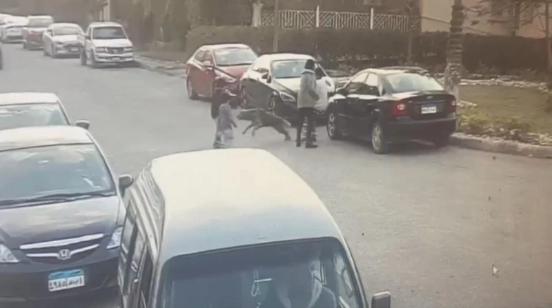 حالته حرجة.. أول صور لواقعة عقر كلب لطفل داخل كمبوند في أكتوبر حصل افاق عربية على اللقطات الأولى لواقعة إصابة الطفل يونس حسن، يبلغ من العمر 7 سنوات،