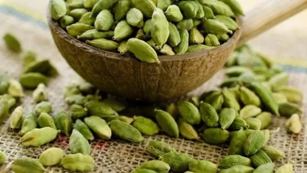 ماذا يحدث لجسمك عند تناول الحبهان؟ - أفاق عربية الحبهان هو أحد أشهر التوابل ذات الفوائد الصحية العديدة، ويتميز بنكهته المميزة ويستخدم في الطهي والمشروبات وحتى كعلاج تقليدي. ويعد ال